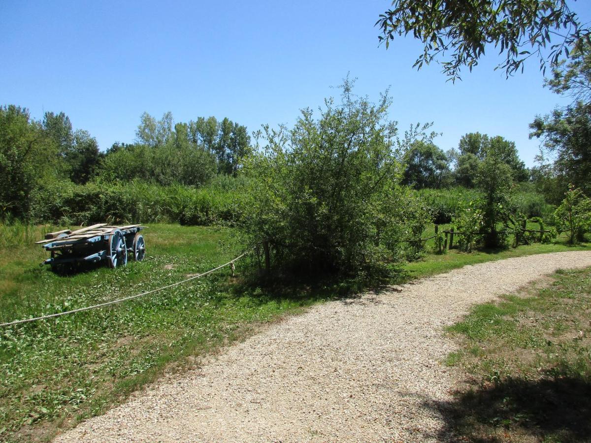 Espace Nature Studio Independant Proche Du Parc Des Oiseaux Sainte-Olive Exterior photo